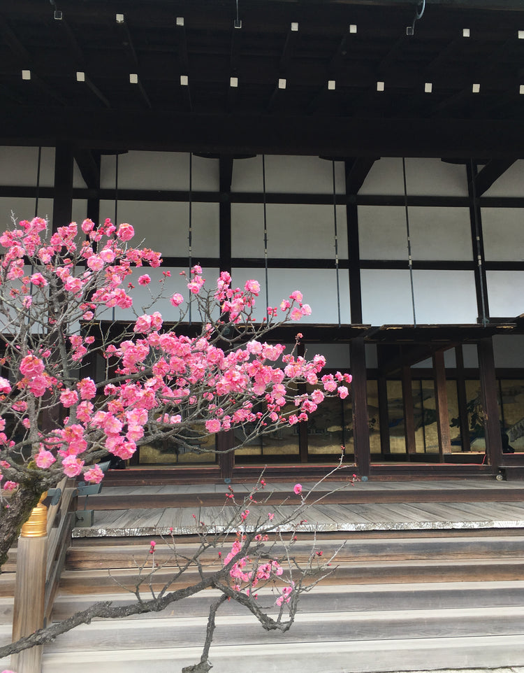 Experiences in Kyoto